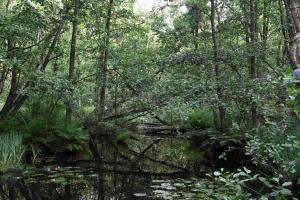 Herrnburger Landgraben